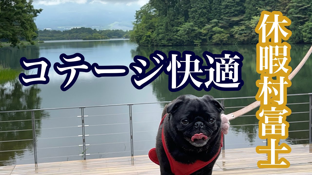 ワンコとお出掛け！富士山目指して行ってきました！休暇村富士のコテージ最高でした！