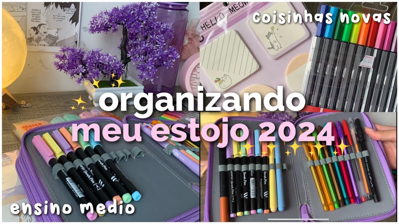 ORGANIZANDO MEU ESTOJO 2024 📚✨ *voltas às aulas*