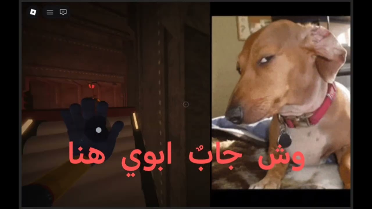 الجزء الثاني في  شابتر الثالث