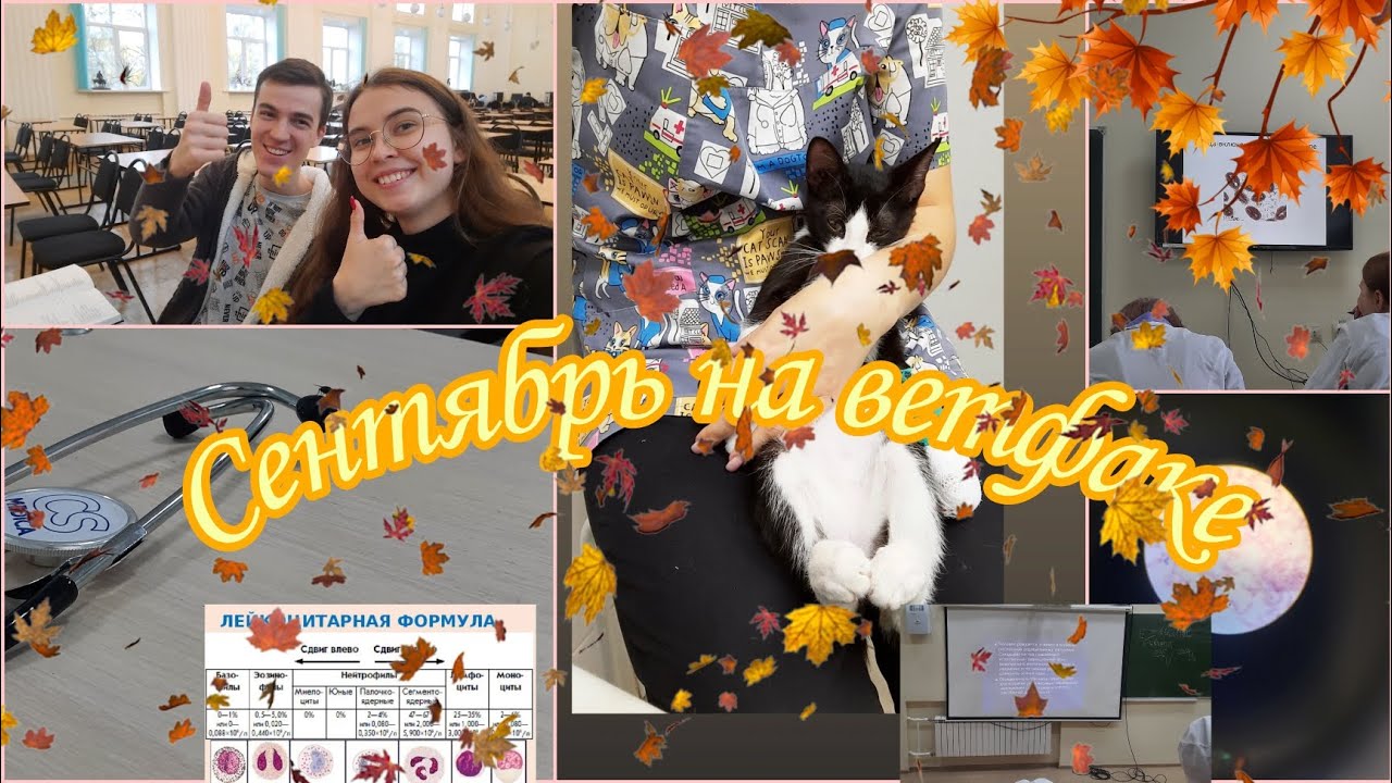 Сентябрь на ветфаке //Привыкаю к учебе 🐕//3 курс