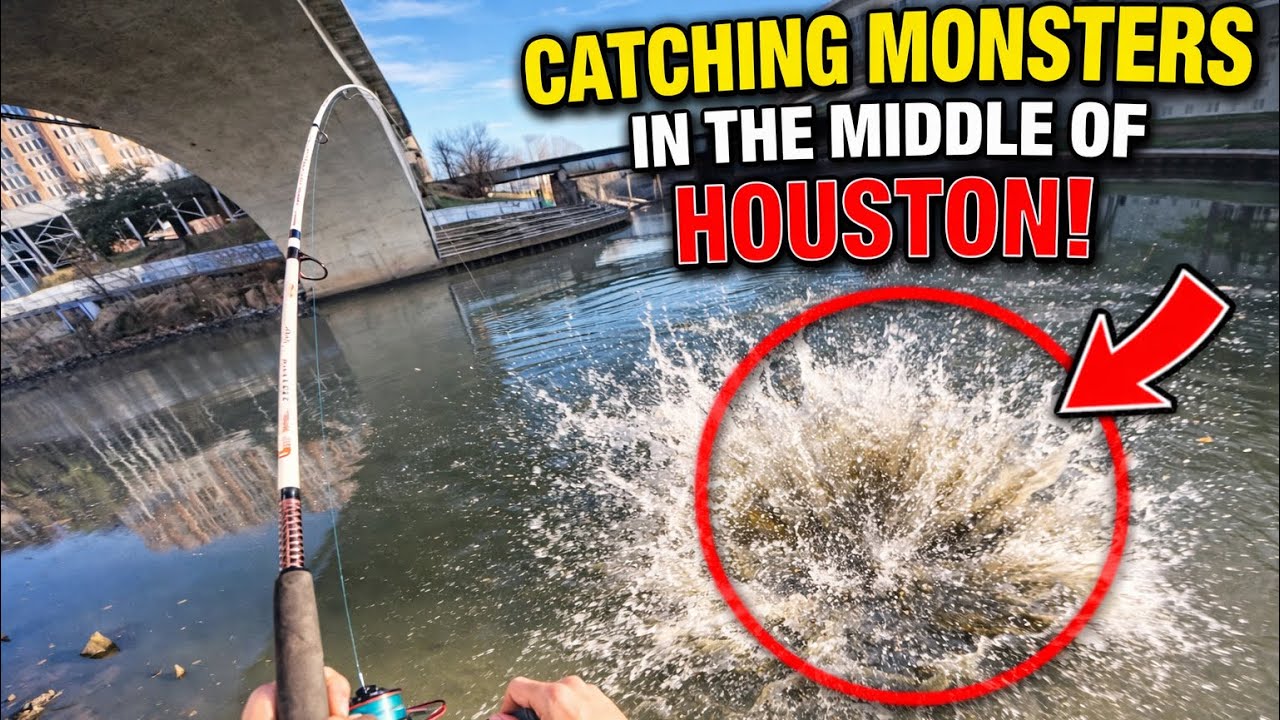 I caught this MONSTER in the MIDDLE of Houston!😱🔥