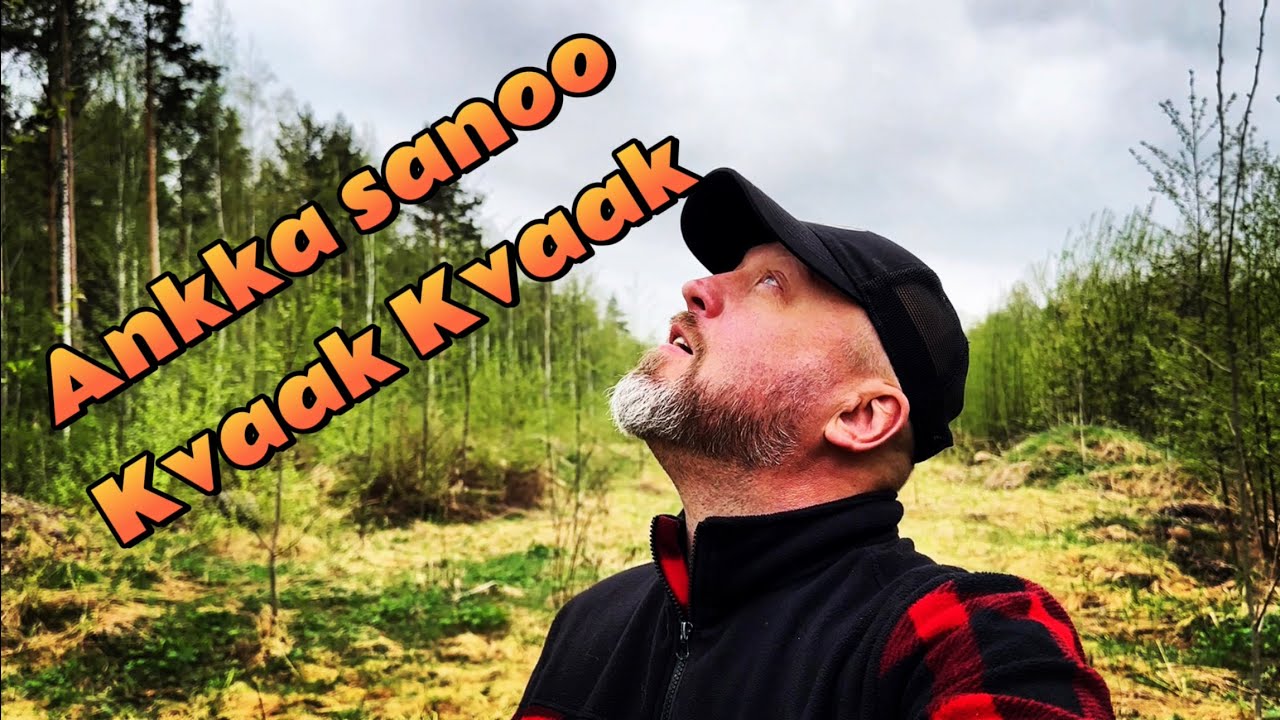 Autiotalo & Ankkoja taivaalla
