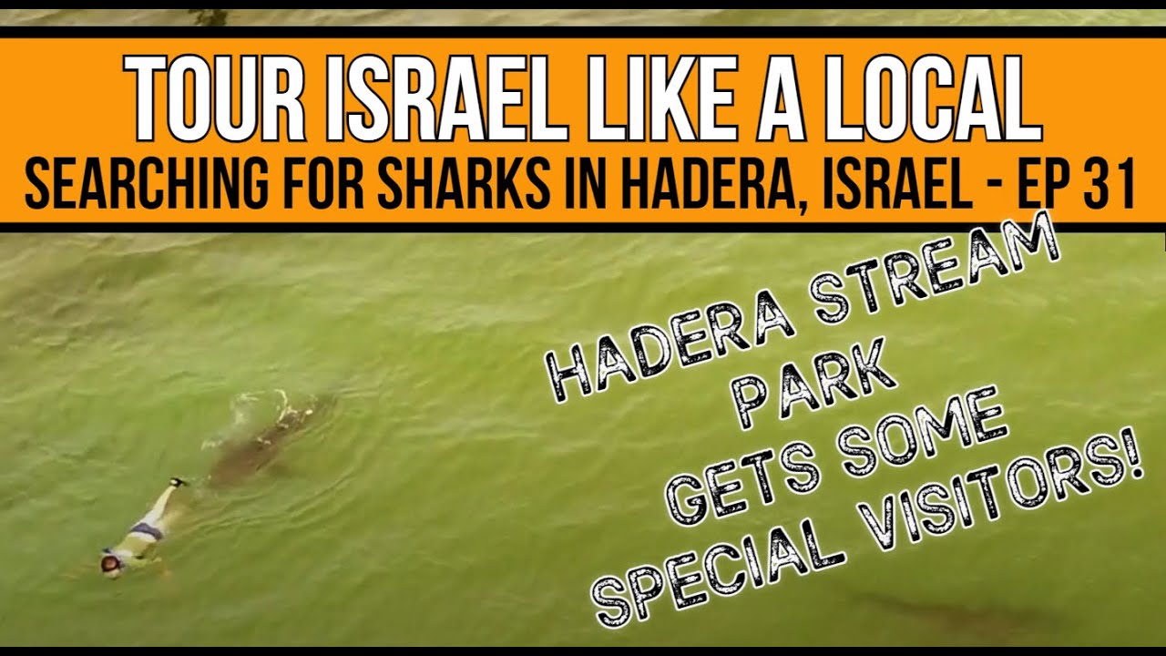 Searching for Sharks in Hadera Stream Park, Israel - Ep. 31