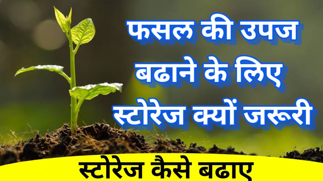 किसी भी फसल में स्टोरेज कैसे बढाए/how to increase plant storage