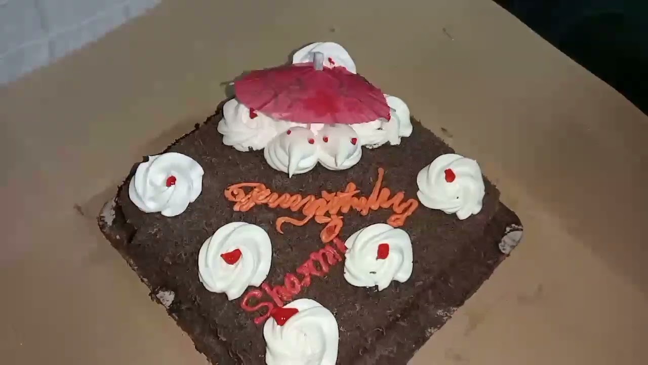 ১৪ ই ফেব্রুয়ারি বিশ্ব ভালোবাসা দিবস স্পেশাল ব্লগ ভিডিও