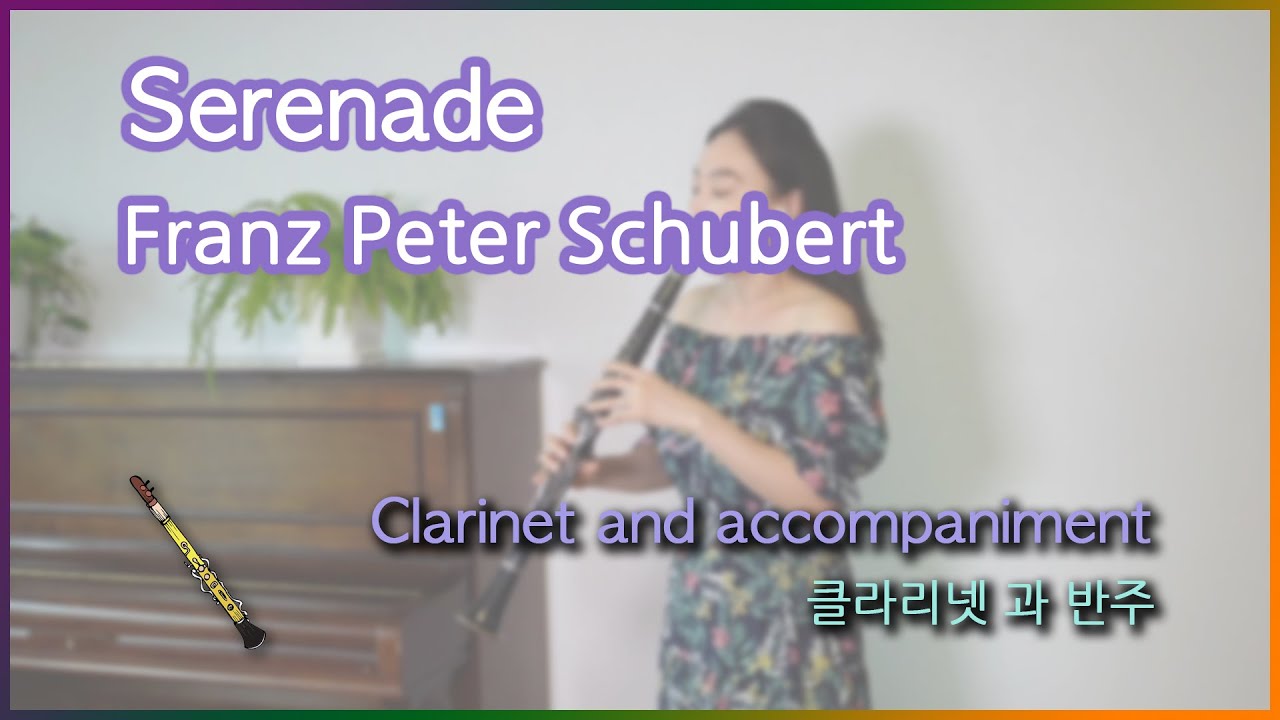 애틋하고 아름다운 클래식 선율  F. Schubert  Serenade 슈베르트 세레나데 Clarinet & Piano  클라리넷 연주 Classic 연주