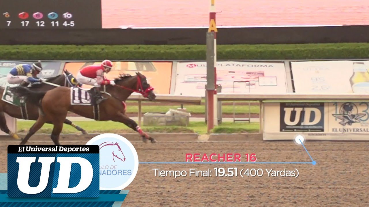 🏇RESUMEN - Así se vivieron los Clásicos Cuarto de Milla  - HIPÓDROMO DE LAS AMÉRICAS🏇