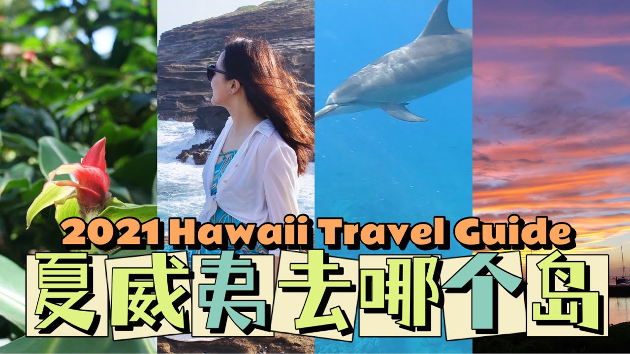 【2021夏威夷旅游攻略】四大岛有什么不同玩法？我为啥选了可爱岛？疫情期间安全夏威夷旅行注意事项！欧胡岛 茂宜岛 夏威夷大岛 夏威夷可爱岛 Hawaii Travel, Kauai Trip