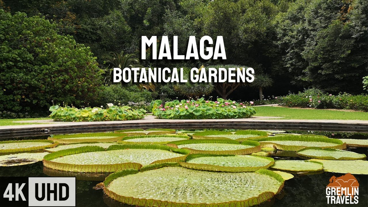 Malaga, Spain 🇪🇦 - Exploring the Botanical Gardens [4K]