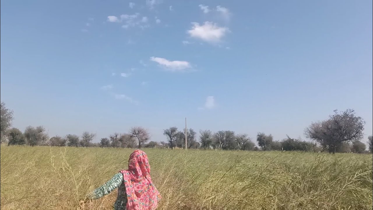 आज मम्मी के साथ खेत में गई और मुझे खेत नहीं पता