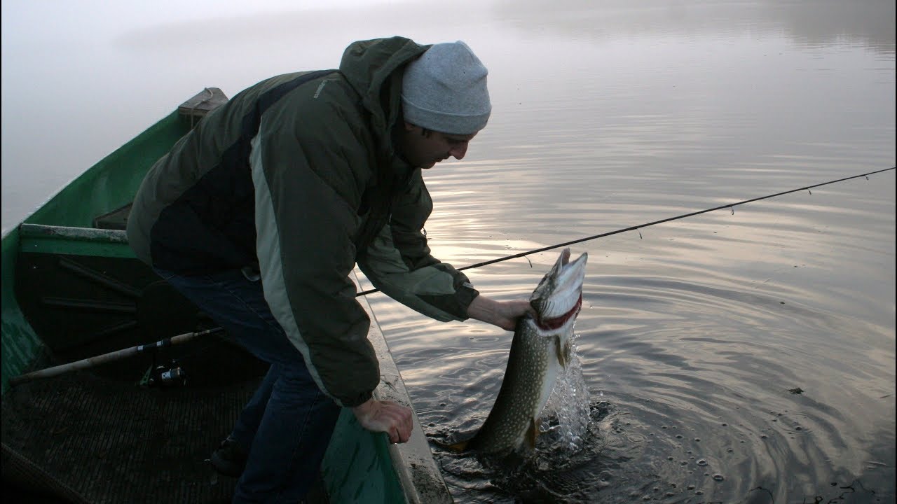 Джеркбейты для гигантских ЩУК!