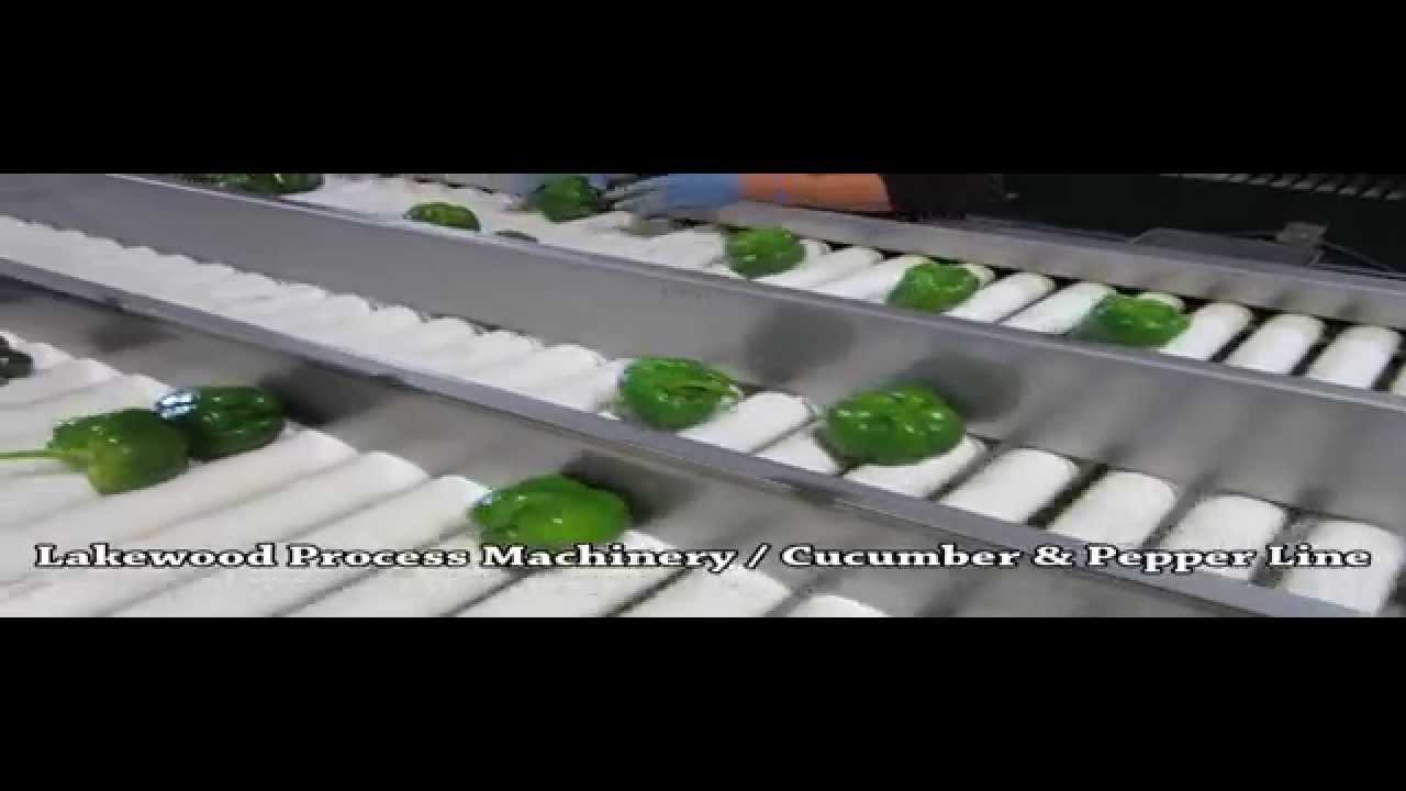 Lakewood Process Machinery Roller Inspection Conveyor (Bell Peppers)
