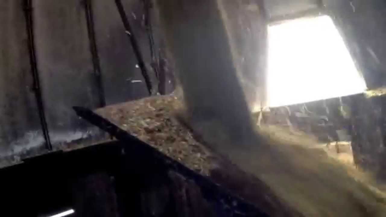 Filling silo with corn silage.
