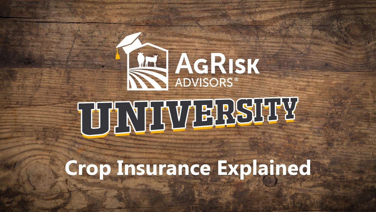Crop Insurance Explained