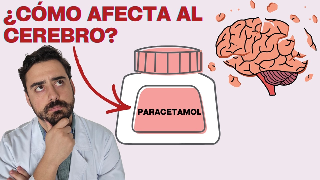 Paracetamol y autismo ¿cuál es la relación?