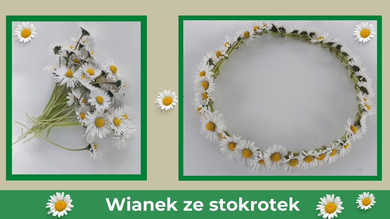 Jak zrobić wianek ze stokrotek?