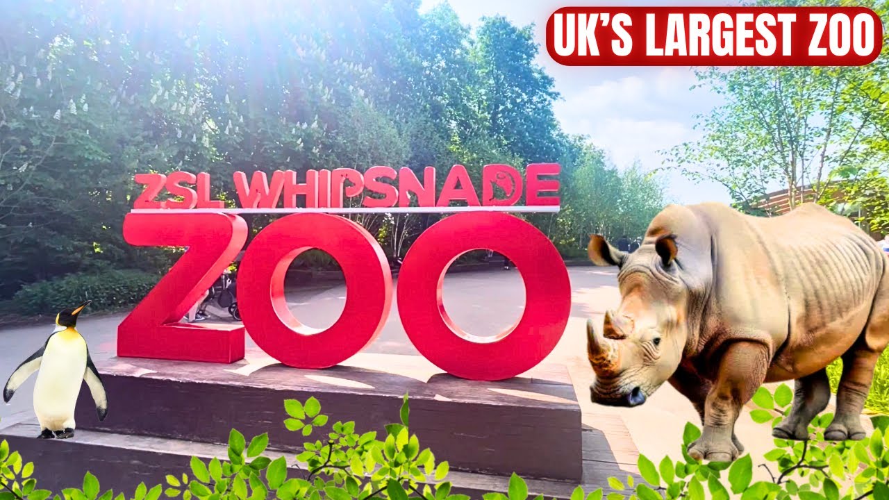 ZSL Whipsnade Zoo Tour | Dunstable, England
