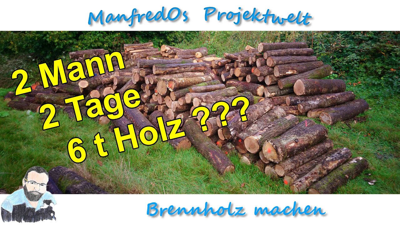 Brennholz machen im Polterholz | Vergleich Akkusäge / Benzinsäge | Katzenwäsche für die Kettensäge