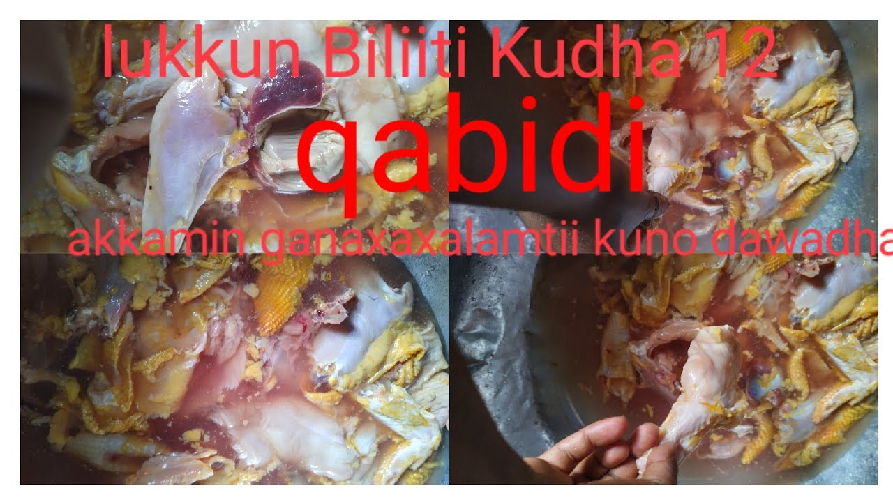 🛑hala lukkun ittin bilittin ishi ba,uu kuno bilitti 12ba.uu qabdii👍👌👌