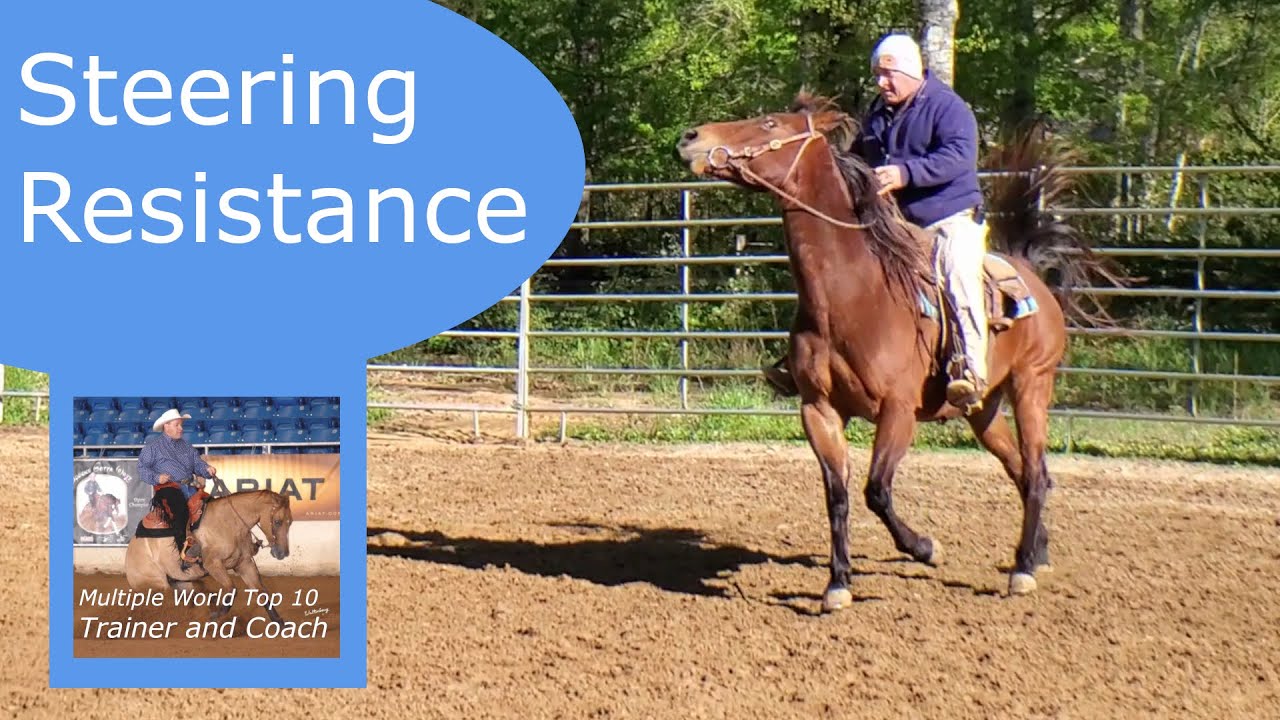 Softening resistance to steering