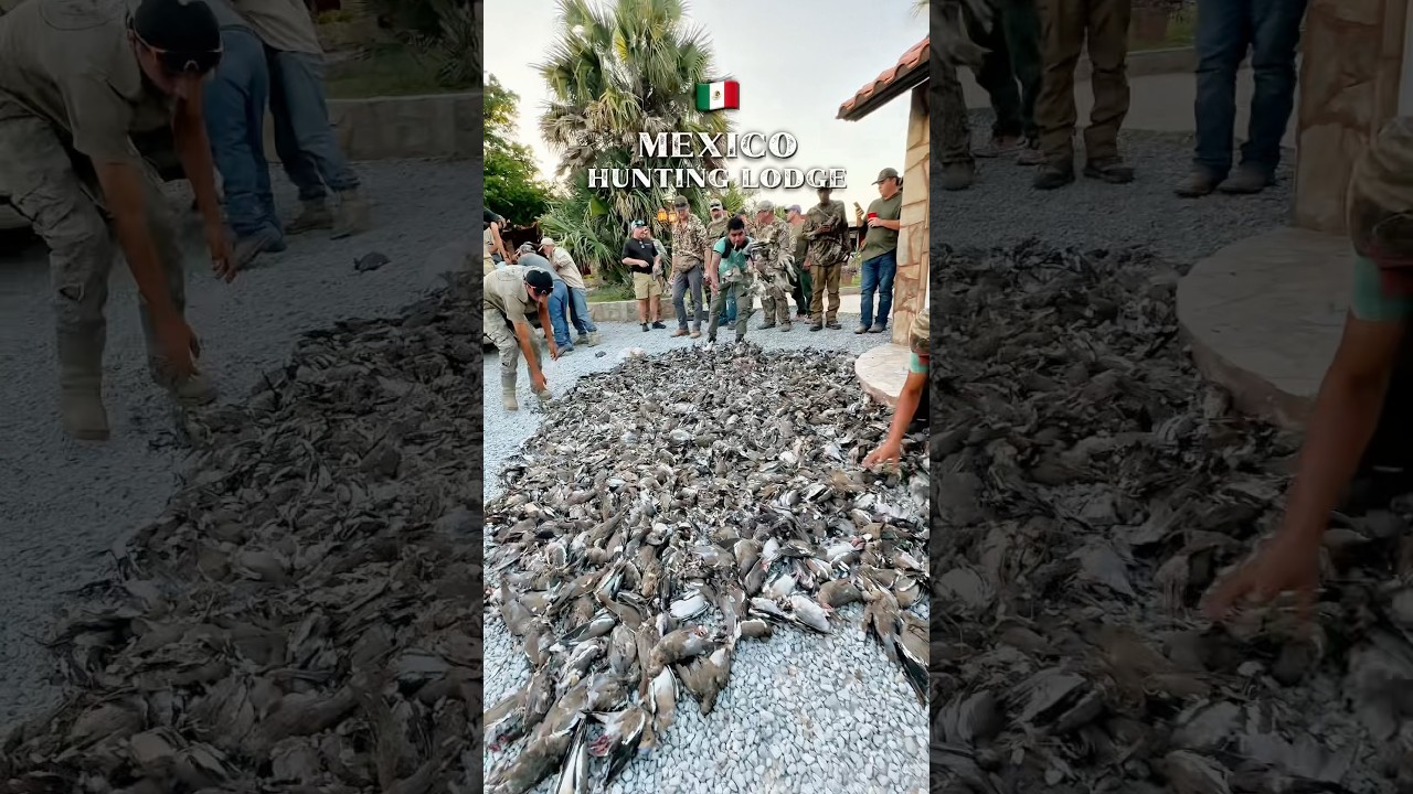 🇲🇽First Day At Mexico Hunting Lodge