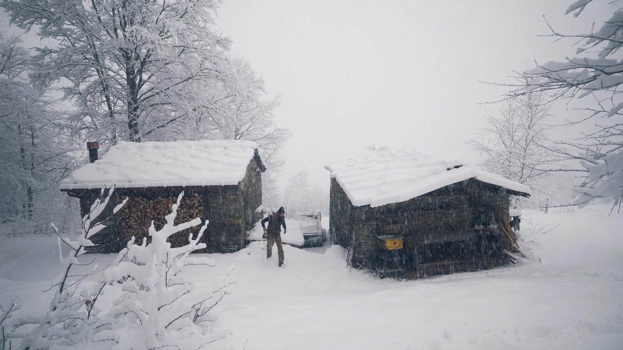 #102 Winter has returned, and so have the Wolves