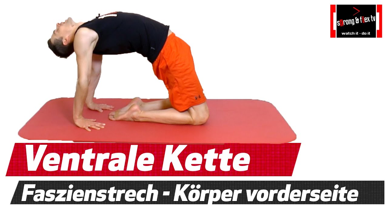 Faszien Stretching Routine - Wirbelsäule aufrichten - Haltung verbessern