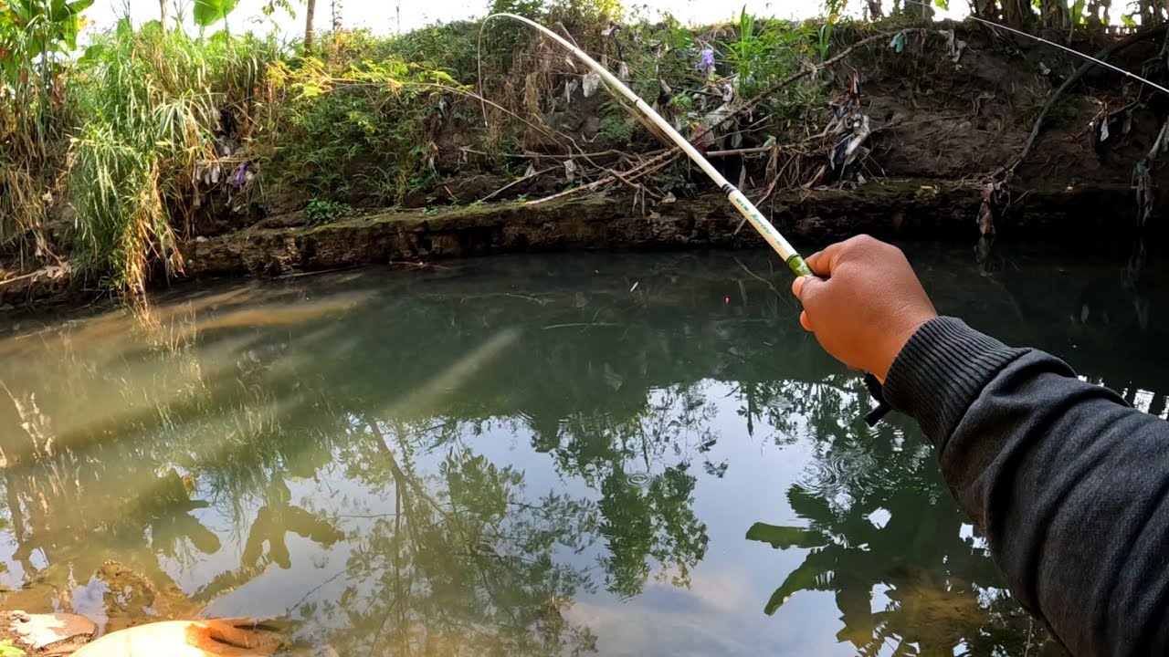 Lagi lagi joran di siksa ikan ini‼️
