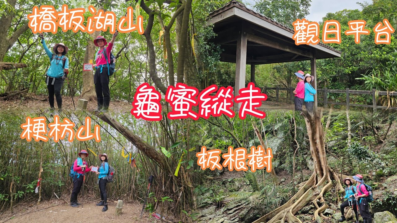 2025 0404 龜蜜縱走 +北關海潮公園