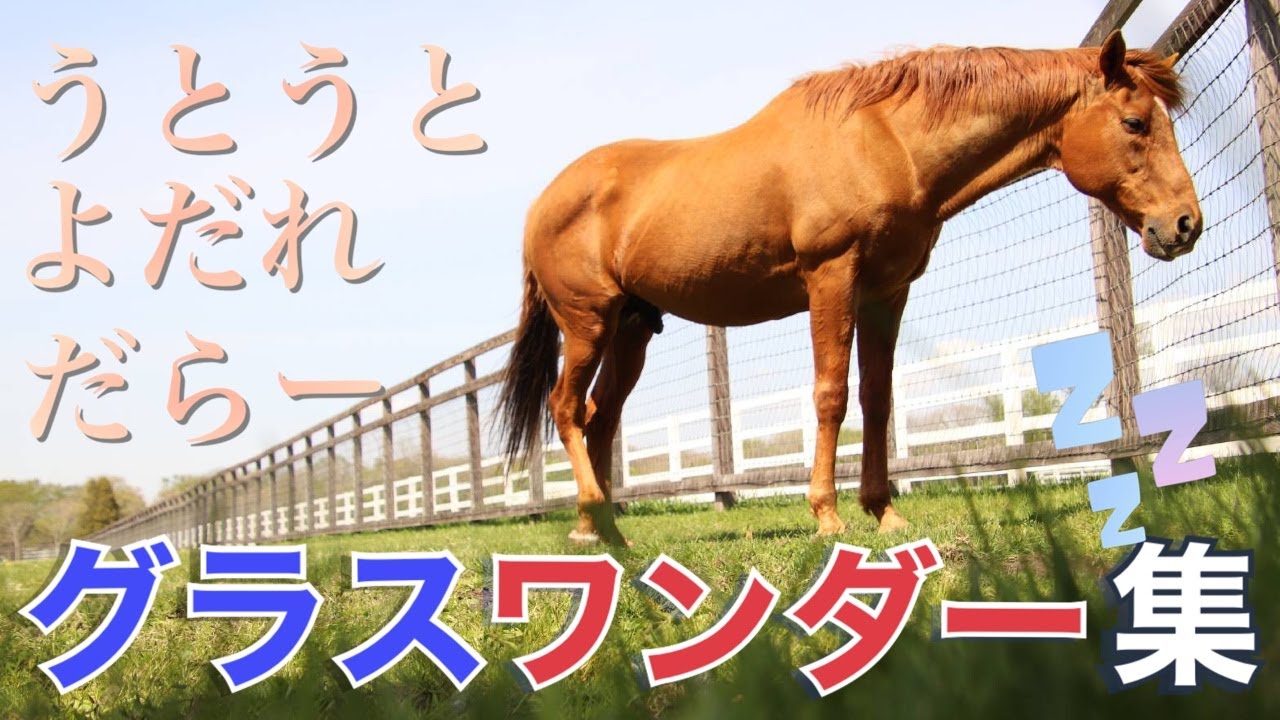 【うとうと寝ぼけグラスワンダー集】よだれがたれているよ。