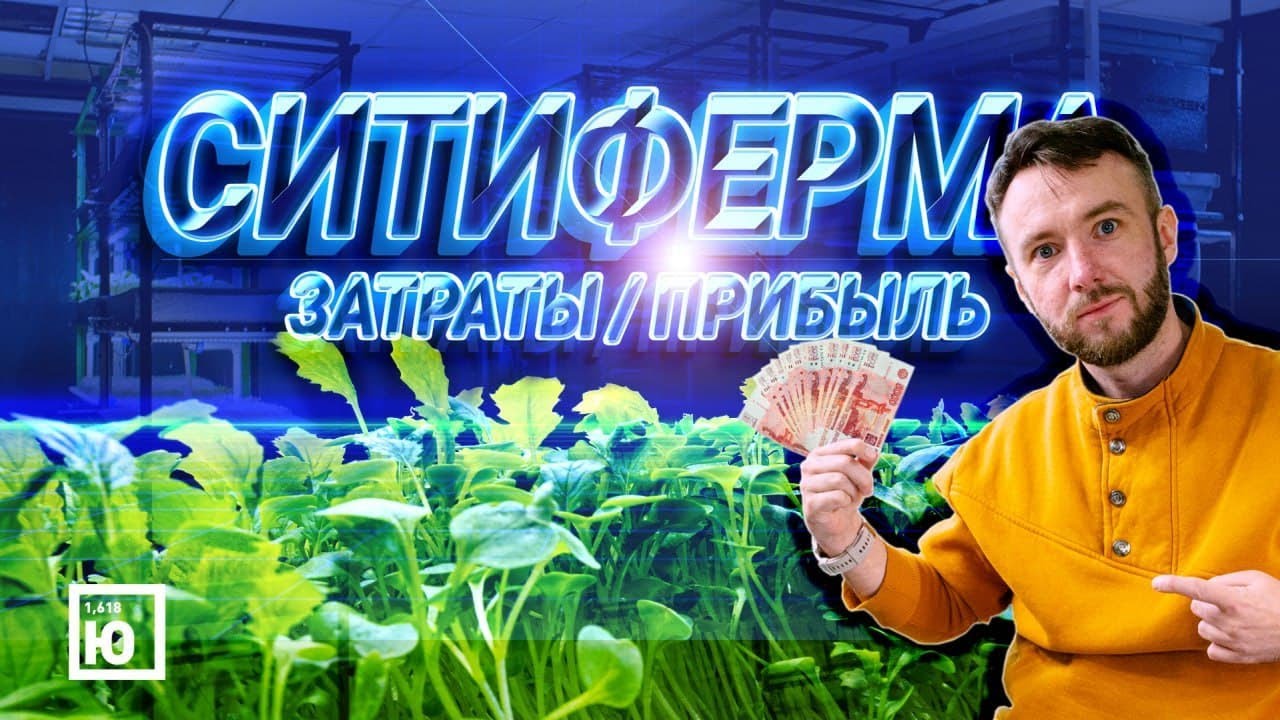 Гидро аэропоника / Тест биофильтра / Бизнес микрозелень 2021