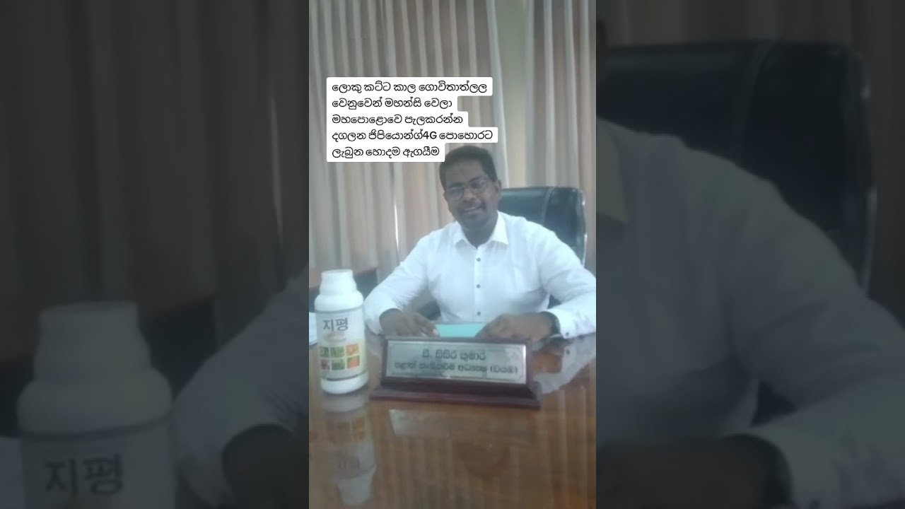 💥හාස්කමක් වගේ මුං අස්වැන්නක් වයබින්💥
