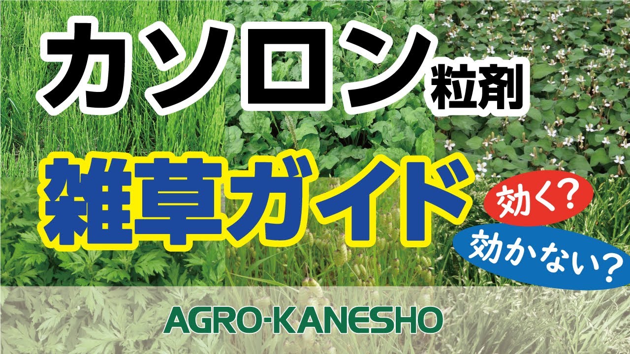 カソロン　雑草ガイド