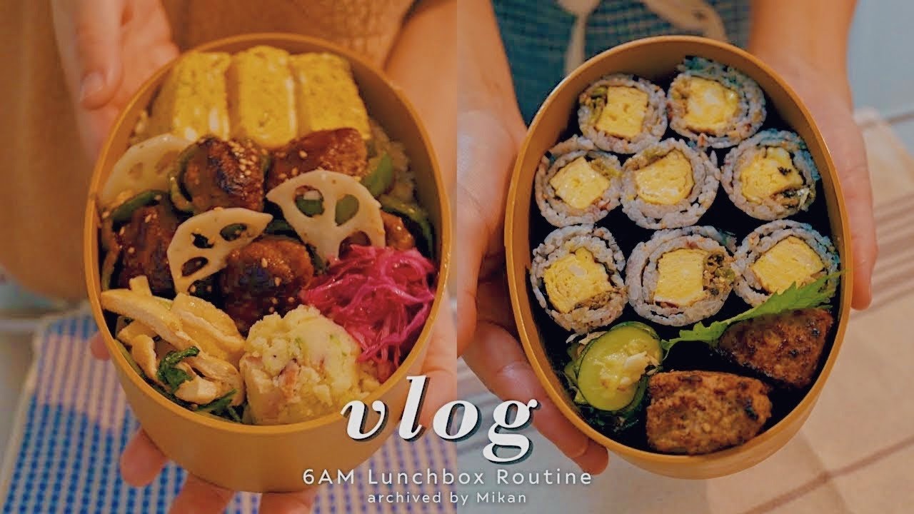 매일 아침 6시에 도시락 싸는 일본 일상 브이로그 | 피망 니쿠즈메🫑, 매콤멸치김밥, 전복 솥밥, 해물 순두부찌개 