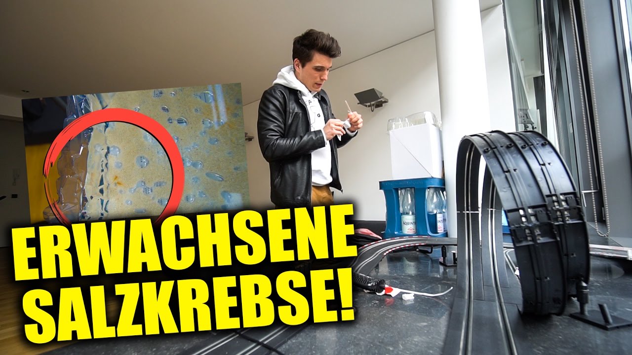 MEINE SALZKREBSE SIND ENDLICH ERWACHSEN!