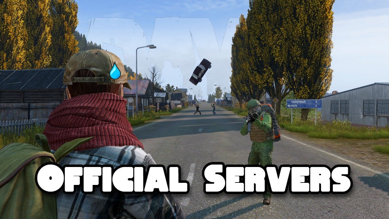One Life in DayZ Official Servers