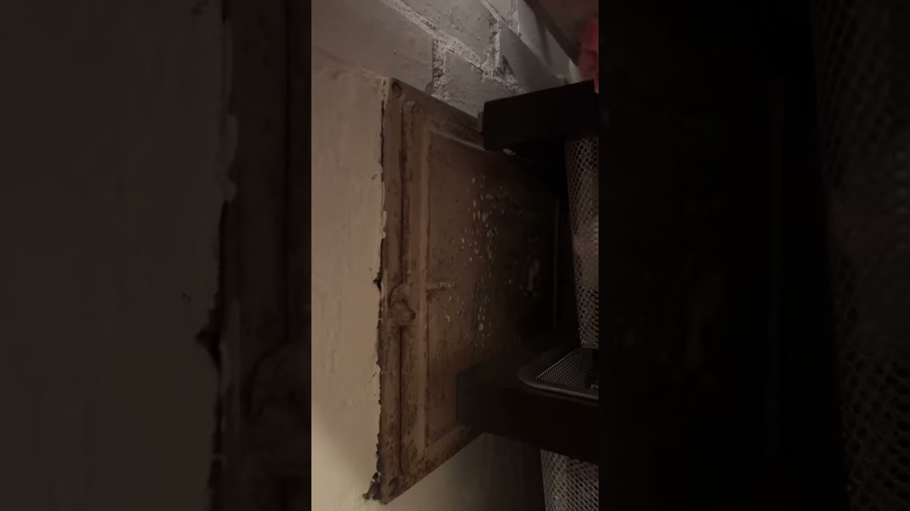 Не могу поверить, что мы нашли это в ДОМЕ Мэрилин Монро!!! 😲 #шорты