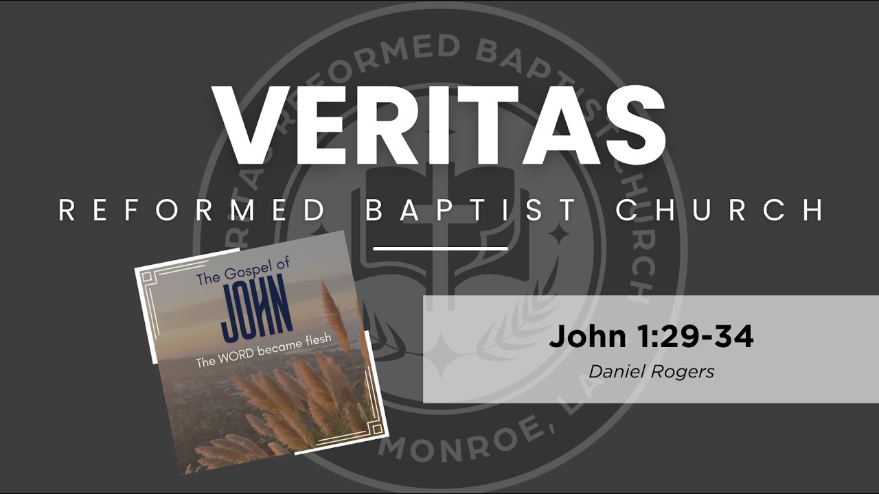 Lord's Day February 15, 2026 Sermon: John 1:29-34