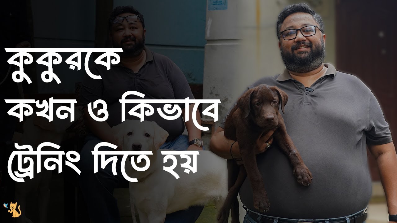 কুকুরকে কখন ট্রেনিং দিবেন এবং কোথায় প্রশিক্ষণ দিবেন  ||  Dog Trainer || Salman Farsi || Pet House BD