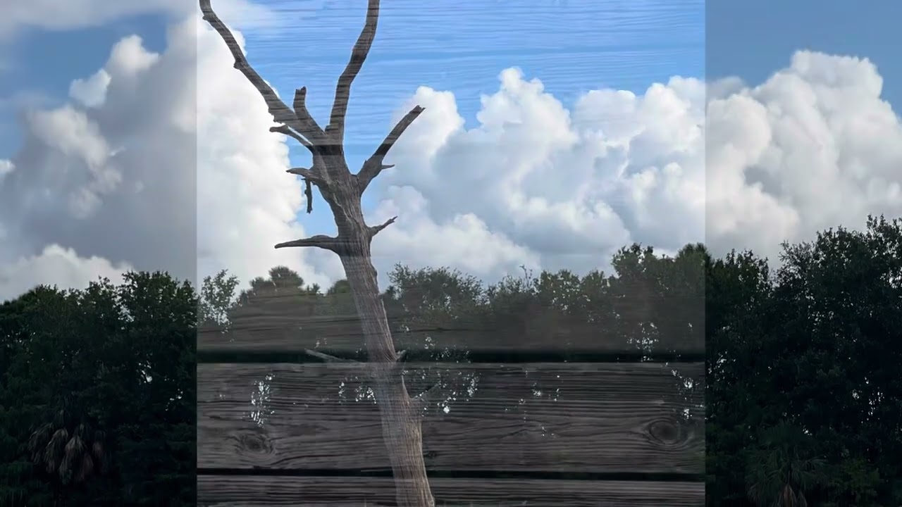 Green Cay Nature Center and Wetlands