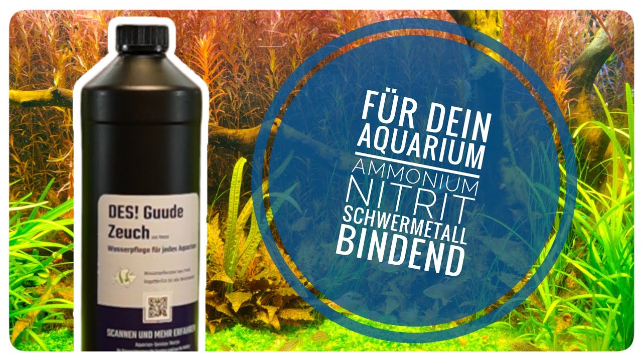 Aquarium Wasserpflege Des guude Zeuch 