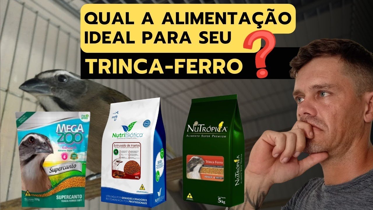 ALIMENTA&Ccedil;&Atilde;O TRINCA FERRO (qual a melhor ra&ccedil;&atilde;o?)