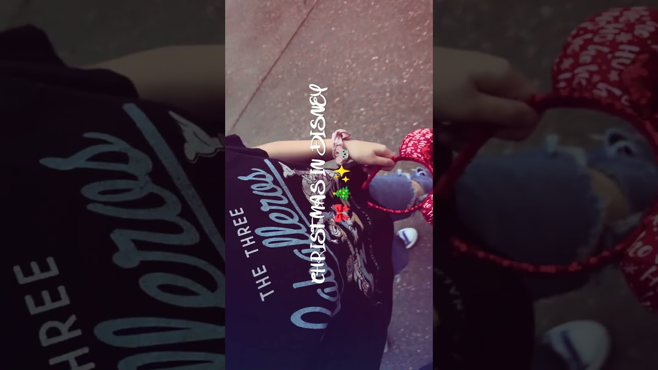 Magic & Epcot Christmas Night! 🐭🎄✨ 