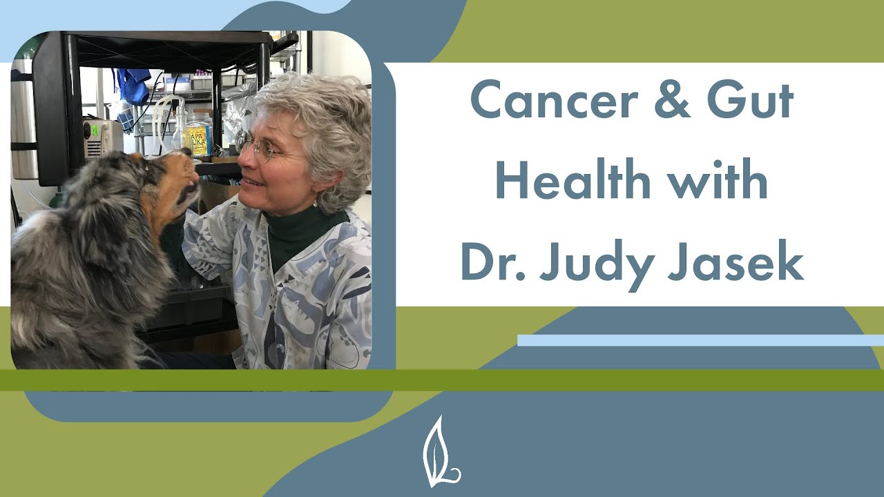 Cancer & Gut Health