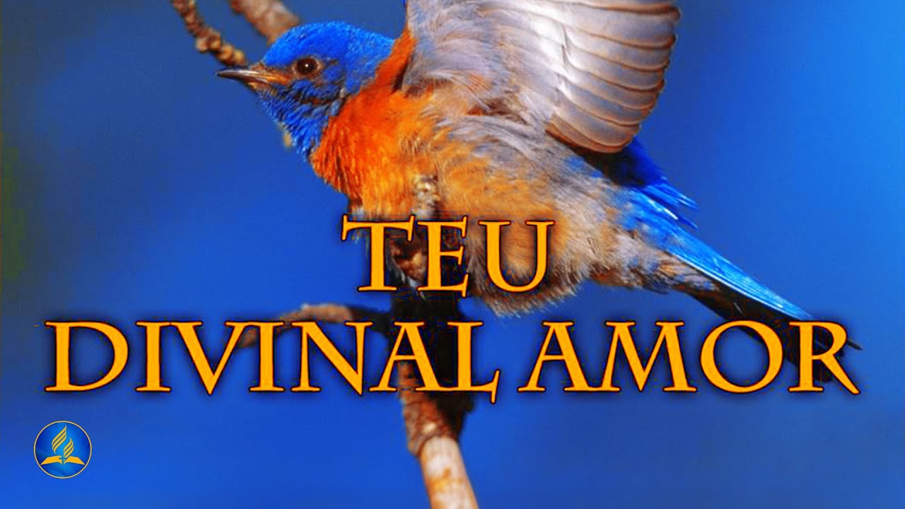 Hin&aacute;rio Adventista 293 - TEU DIVINAL AMOR