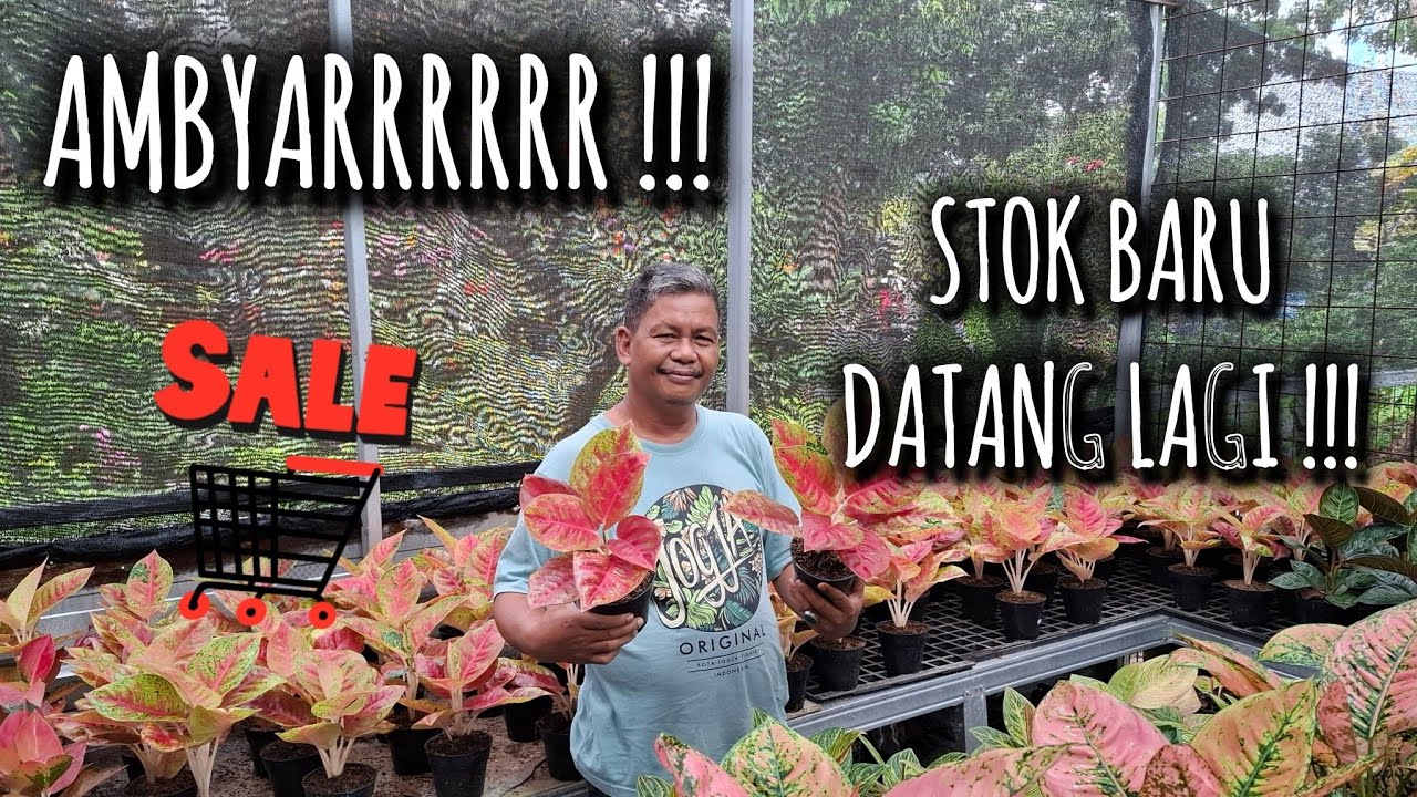 PROMO AMBYAR !! STOK BARU BERKUALITAS, MURAH, LANGSUNG SERBU !!!