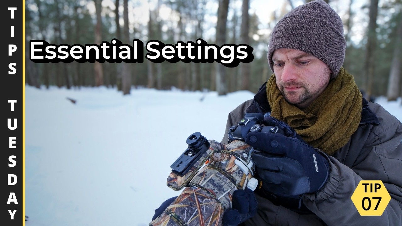 Основные настройки камеры для фотосъемки дикой природы | Советы, вторник, 7 июля