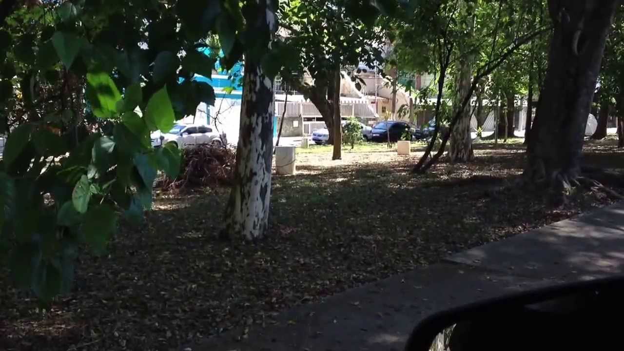 Pq. Peruche