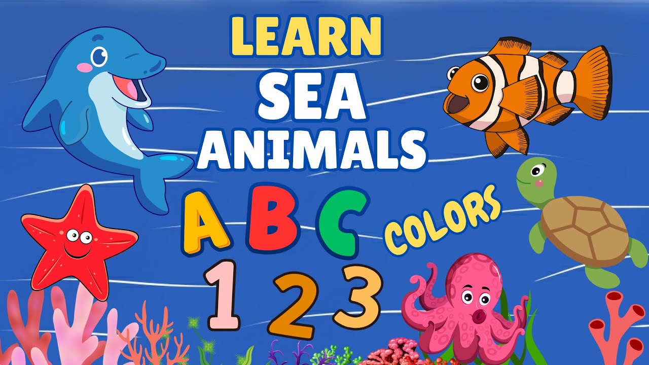 Learn Sea Animals with ABCs, Numbers & Colors! 🐠🌈 Fun Ocean Facts for Kids! (Sea Animal Compilation)
