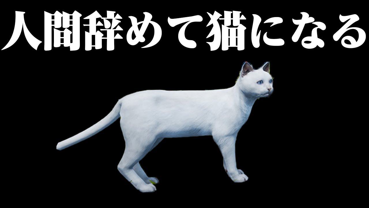猫の生活の酷さを体験できるシミュレータ【Cat Simulator】
